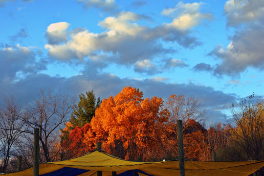 Spring Valley View ©Richard Alan Fox All Rights Reserved Spring Valley View ©Richard Alan Fox All Rights Reserved